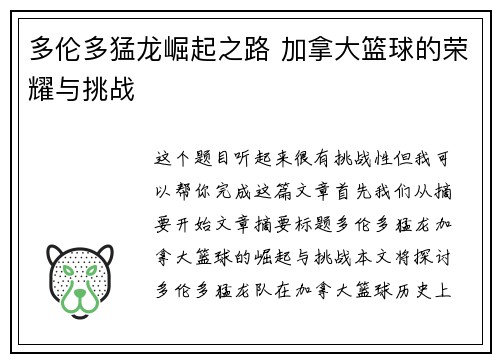 多伦多猛龙崛起之路 加拿大篮球的荣耀与挑战
