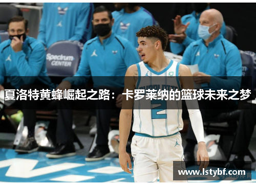 夏洛特黄蜂崛起之路：卡罗莱纳的篮球未来之梦